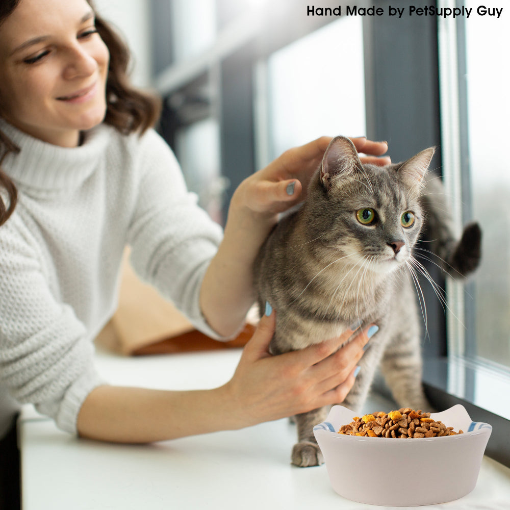 PetSupply Guy Cat Bowl Round Striped all colors-Lifestyle4