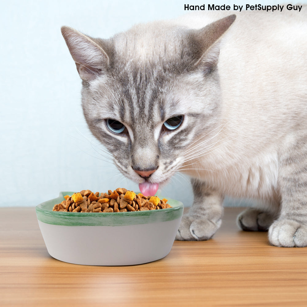 PetSupply Guy Cat Face Bowl all colors-Lifestyle3