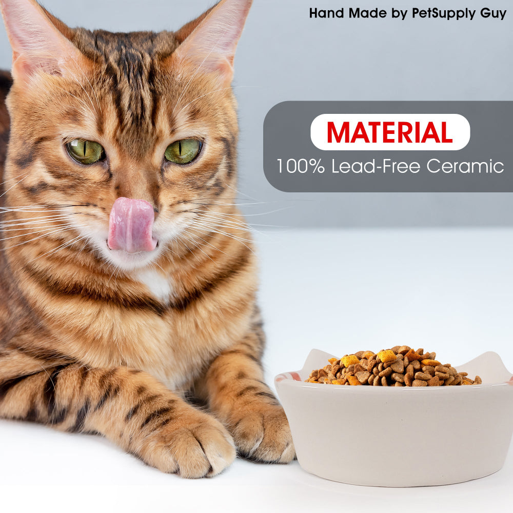 PetSupply Guy Cat Bowl Round Striped all colors-Lifestyle1