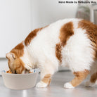 PetSupply Guy Cat Bowl Round Striped all colors-Lifestyle2