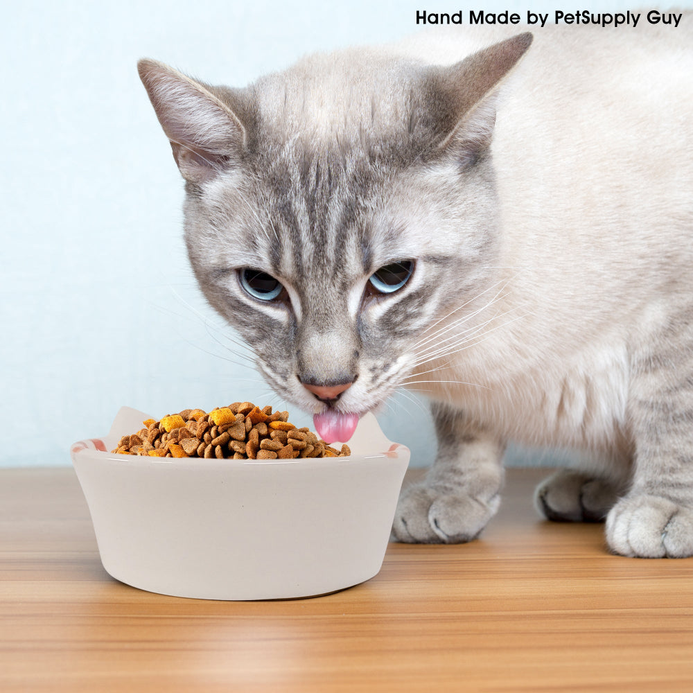 PetSupply Guy Cat Bowl Round Striped all colors-Lifestyle3