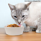 PetSupply Guy Cat Bowl Round Striped all colors-Lifestyle3