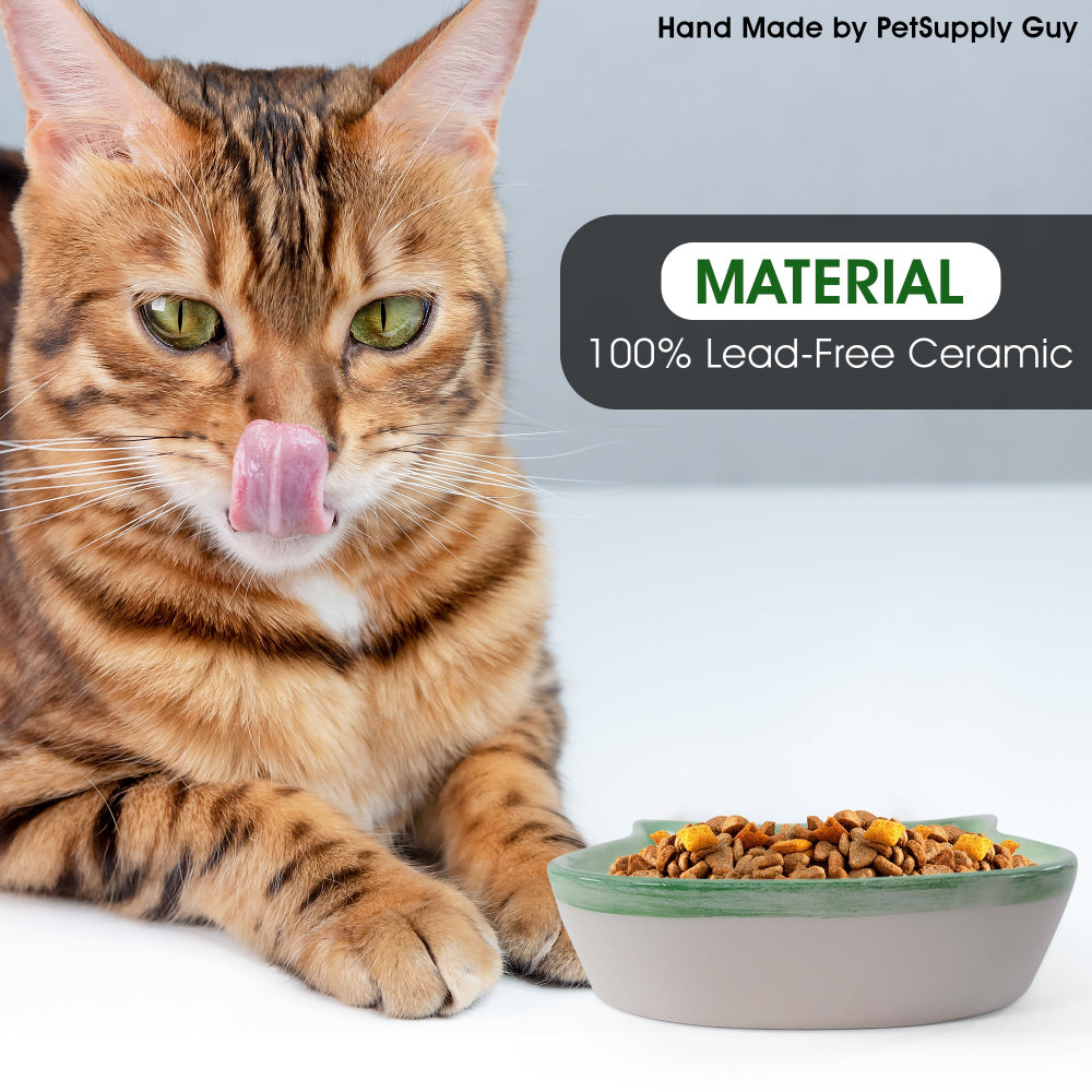 PetSupply Guy Cat Face Bowl all colors-Lifestyle1