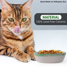 PetSupply Guy Cat Face Bowl all colors-Lifestyle1