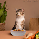 PetSupply Guy Cat Face Bowl all colors-Lifestyle2