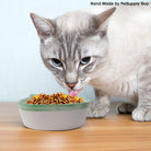 PetSupply Guy Cat Face Bowl all colors-Lifestyle3