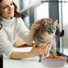 PetSupply Guy Cat Face Bowl all colors-Lifestyle4