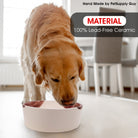PetSupply Guy Handmade Ceramic Dog Bowl-7